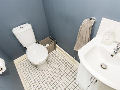Picture 11